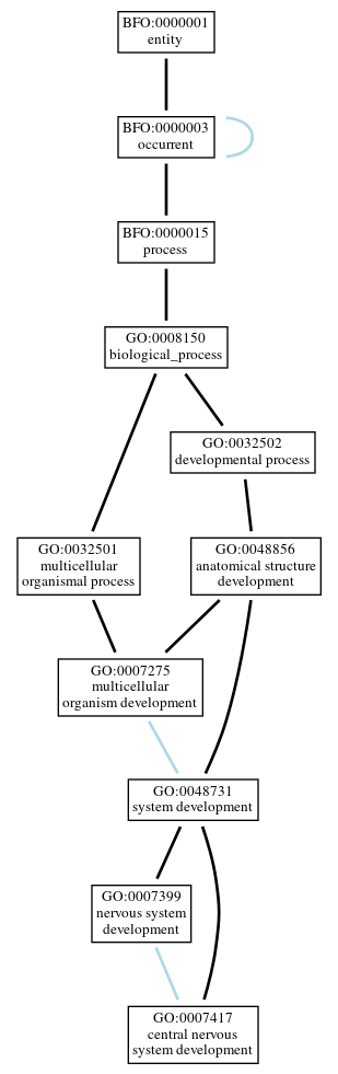 Graph of GO:0007417