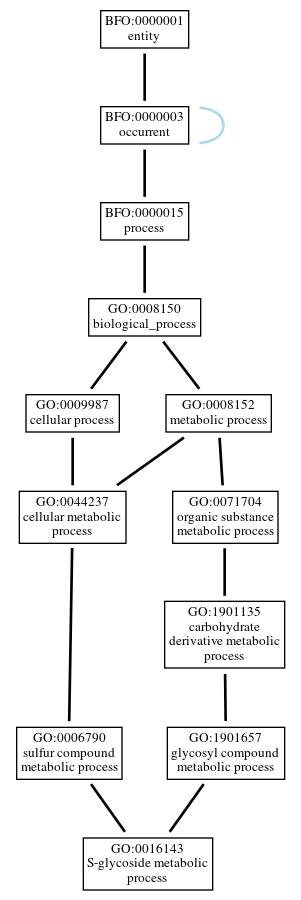 Graph of GO:0016143