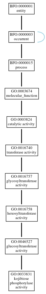 Graph of GO:0033831
