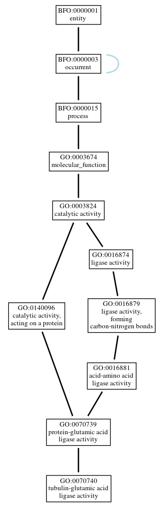 Graph of GO:0070740