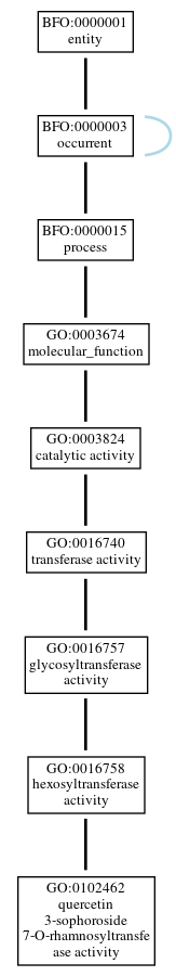 Graph of GO:0102462