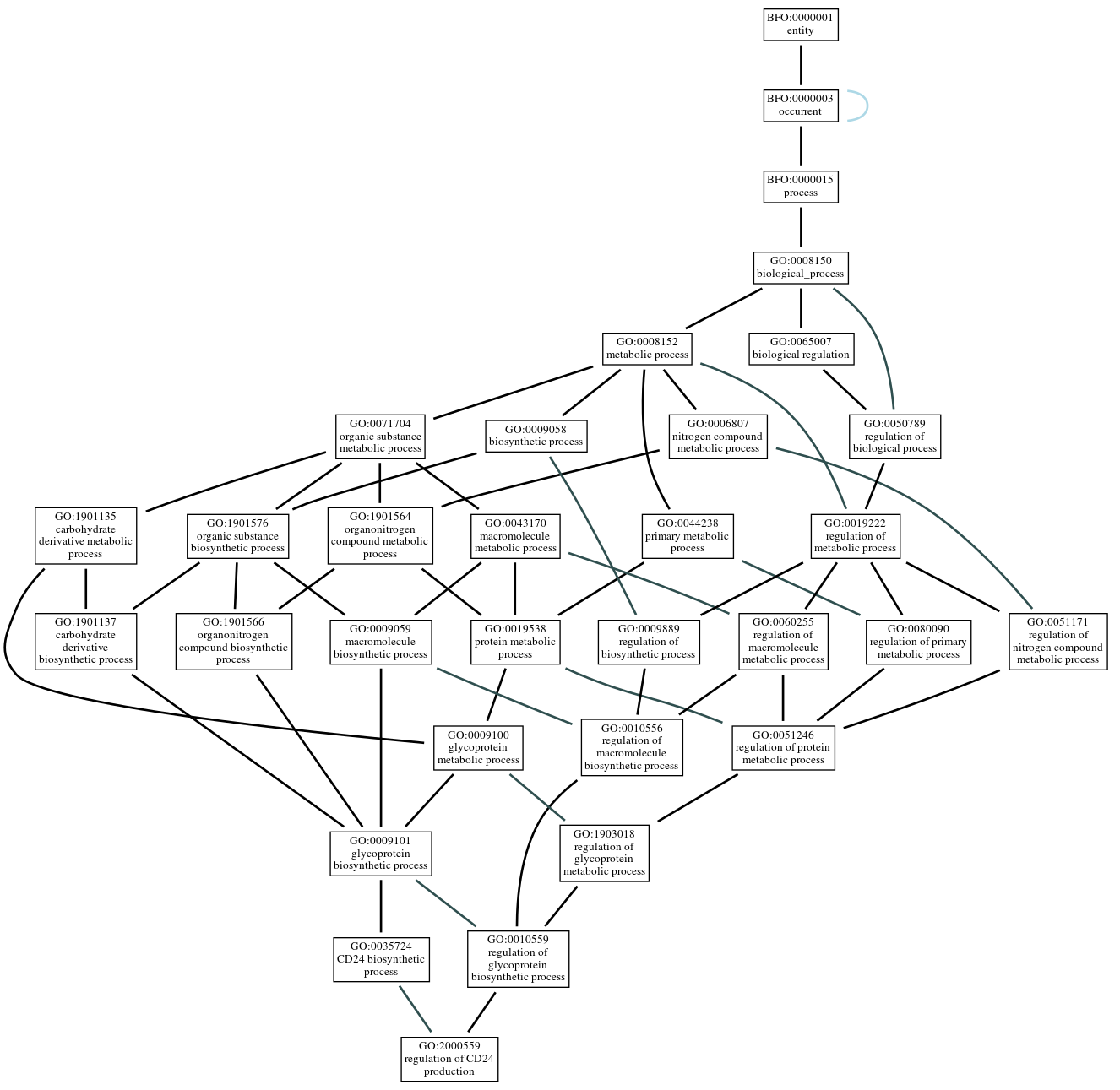 Graph of GO:2000559