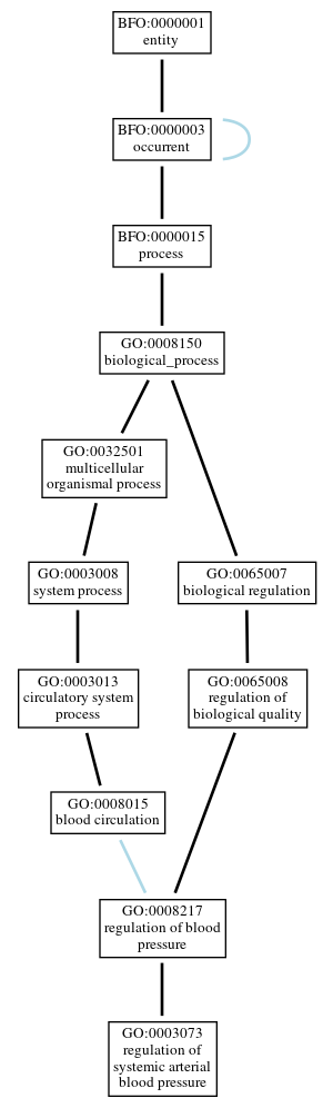 Graph of GO:0003073