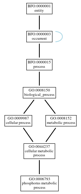 Graph of GO:0006793