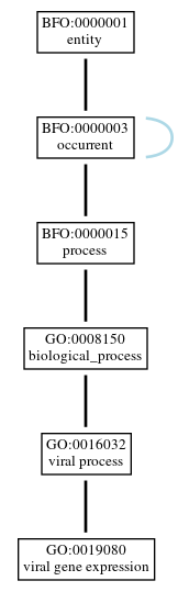 Graph of GO:0019080