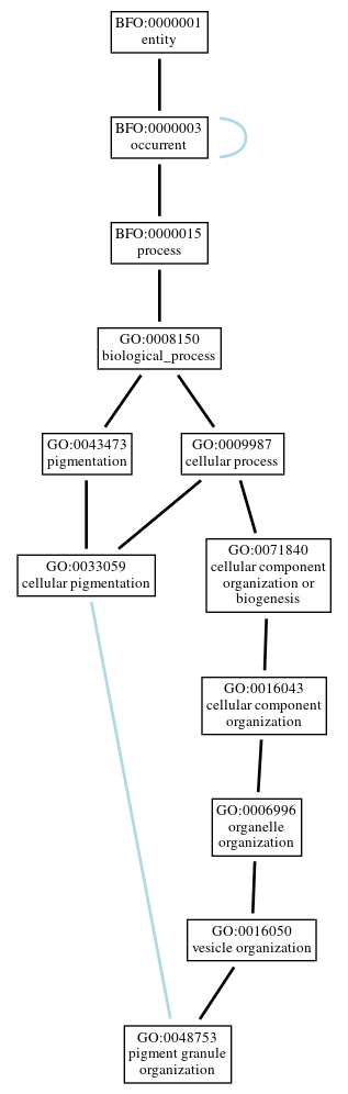 Graph of GO:0048753