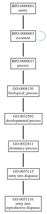 Graph of GO:0055116
