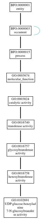 Graph of GO:0102691