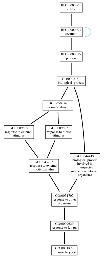 Graph of GO:0001878