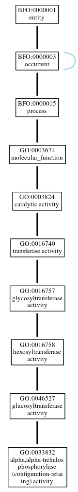 Graph of GO:0033832