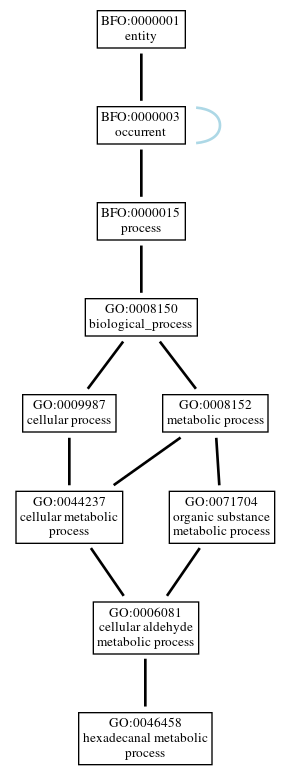 Graph of GO:0046458