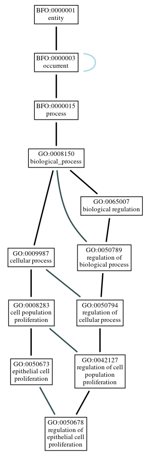 Graph of GO:0050678