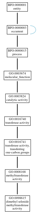 Graph of GO:0098615