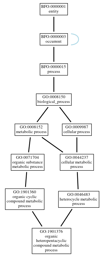 Graph of GO:1901376