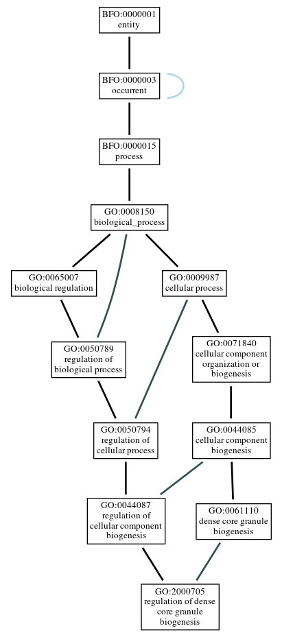 Graph of GO:2000705
