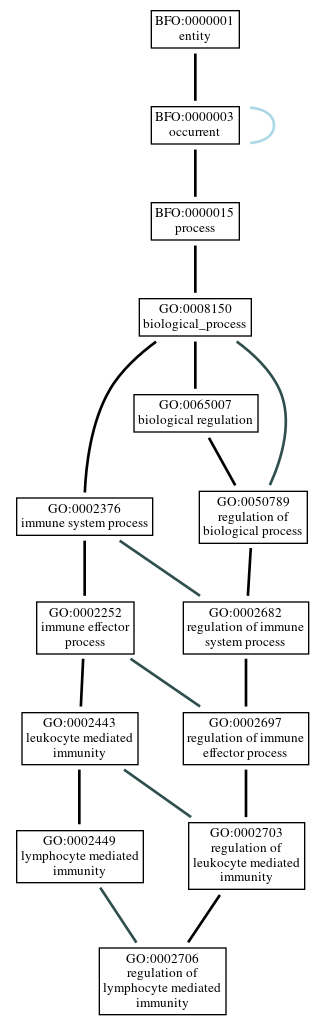 Graph of GO:0002706
