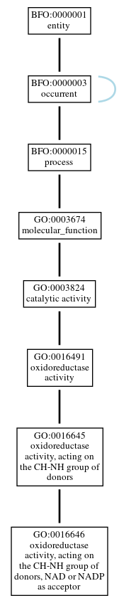 Graph of GO:0016646