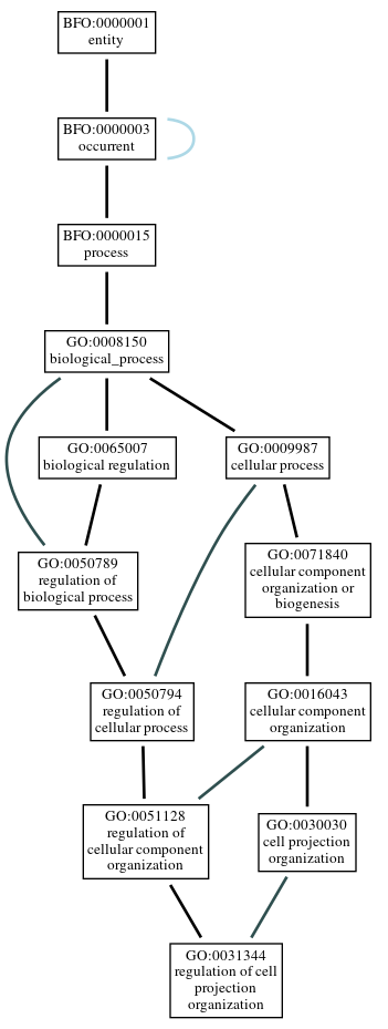 Graph of GO:0031344