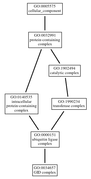 Graph of GO:0034657