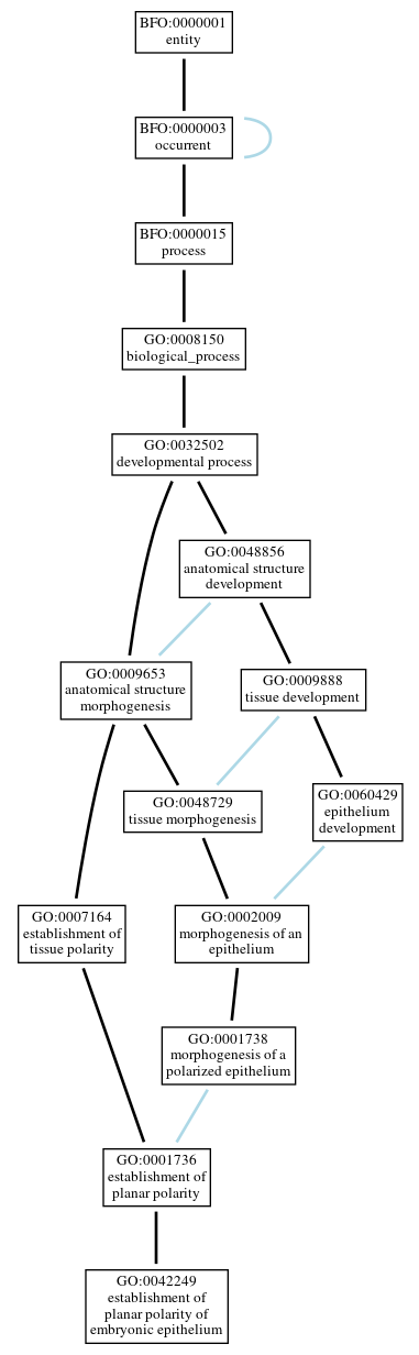 Graph of GO:0042249