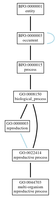 Graph of GO:0044703