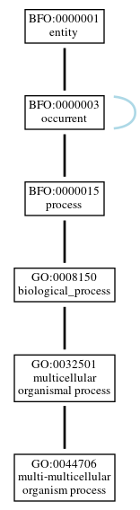 Graph of GO:0044706
