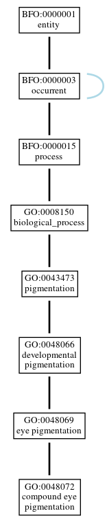 Graph of GO:0048072