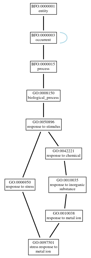 Graph of GO:0097501