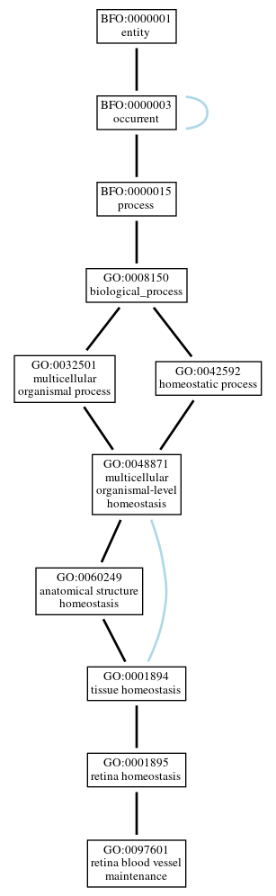 Graph of GO:0097601