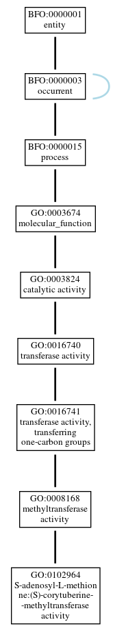 Graph of GO:0102964