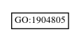 Graph of GO:1904805