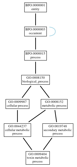 Graph of GO:0009404