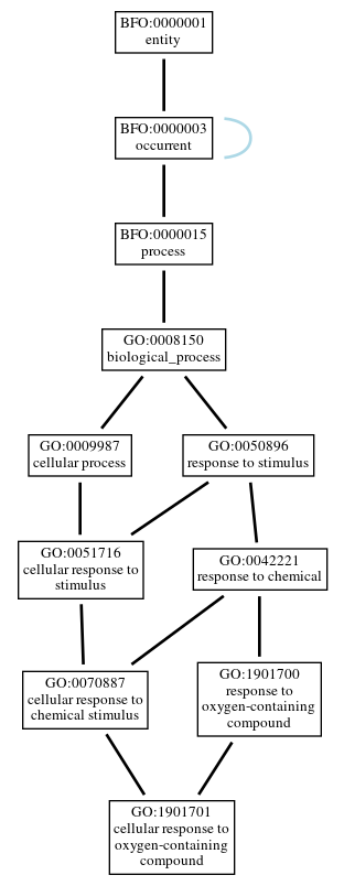 Graph of GO:1901701