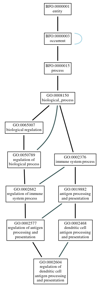 Graph of GO:0002604
