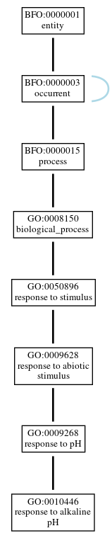 Graph of GO:0010446