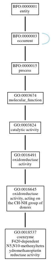 Graph of GO:0018537