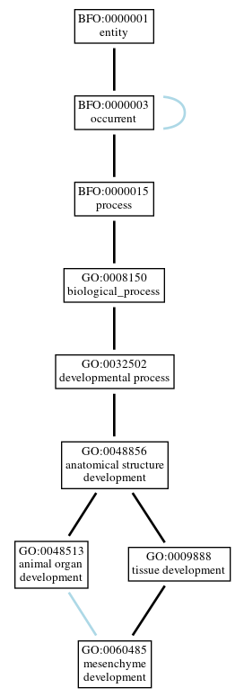 Graph of GO:0060485