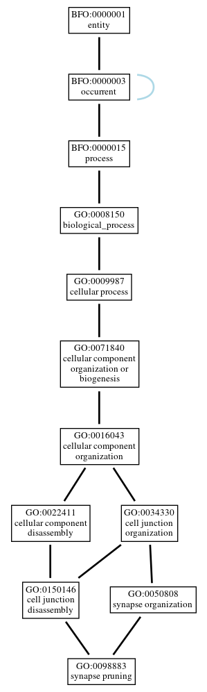 Graph of GO:0098883