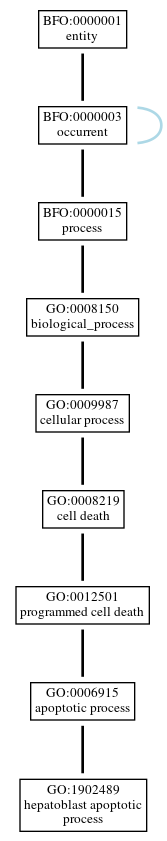 Graph of GO:1902489