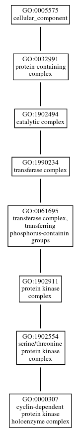 Graph of GO:0000307