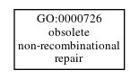 Graph of GO:0000726