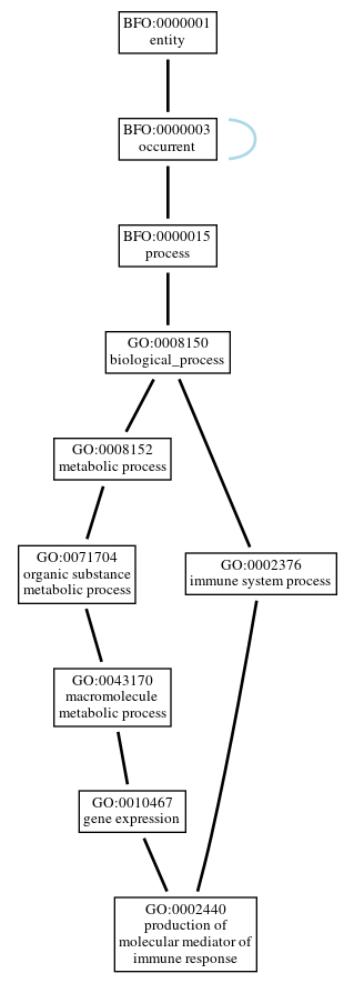 Graph of GO:0002440