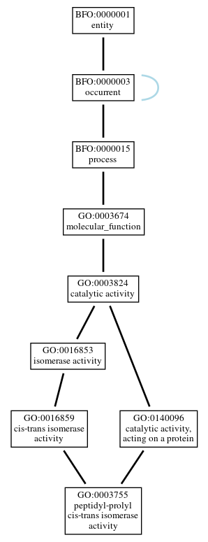 Graph of GO:0003755