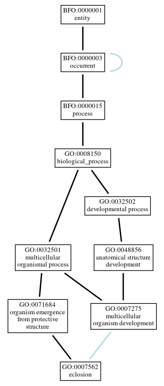 Graph of GO:0007562
