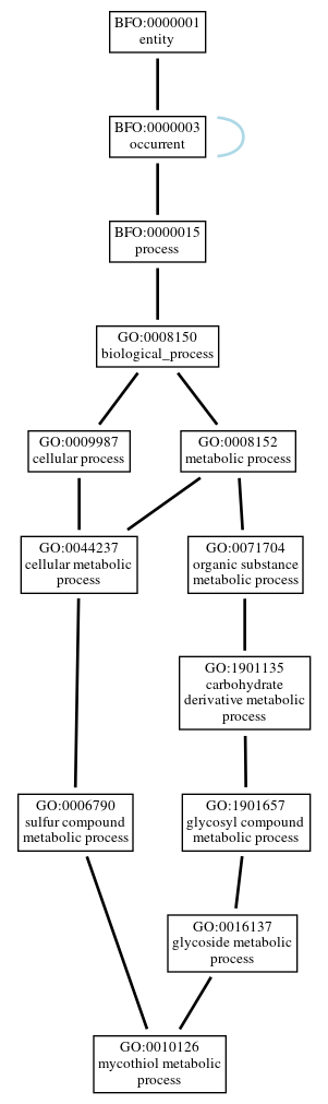 Graph of GO:0010126