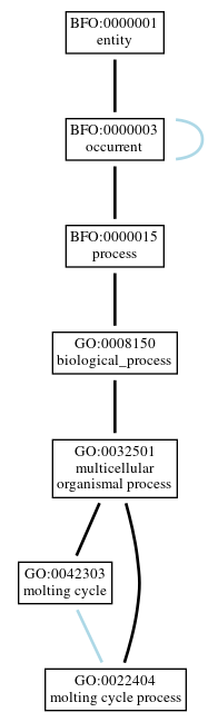 Graph of GO:0022404