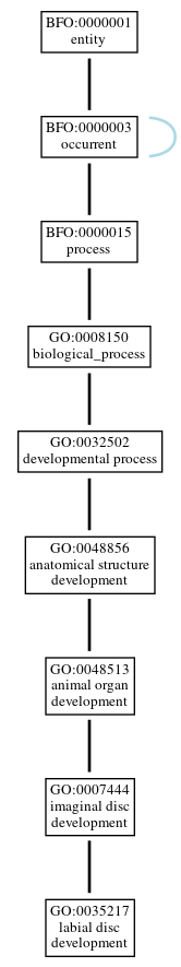 Graph of GO:0035217