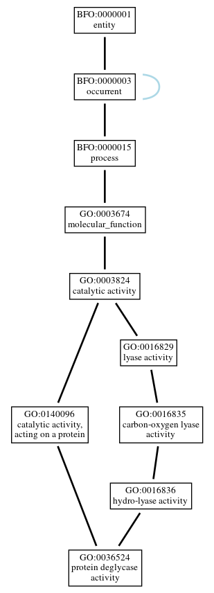 Graph of GO:0036524