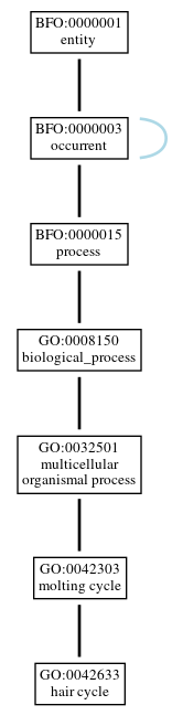 Graph of GO:0042633