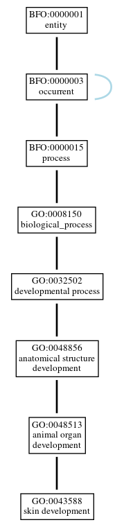 Graph of GO:0043588